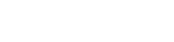 Conexão Pet